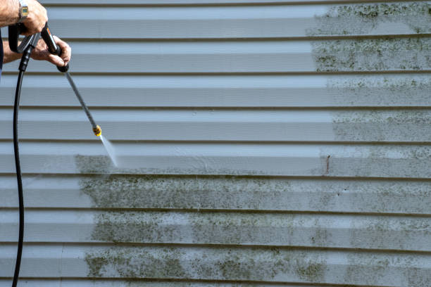 Best Steel Siding Installation  in Rutledge, TN